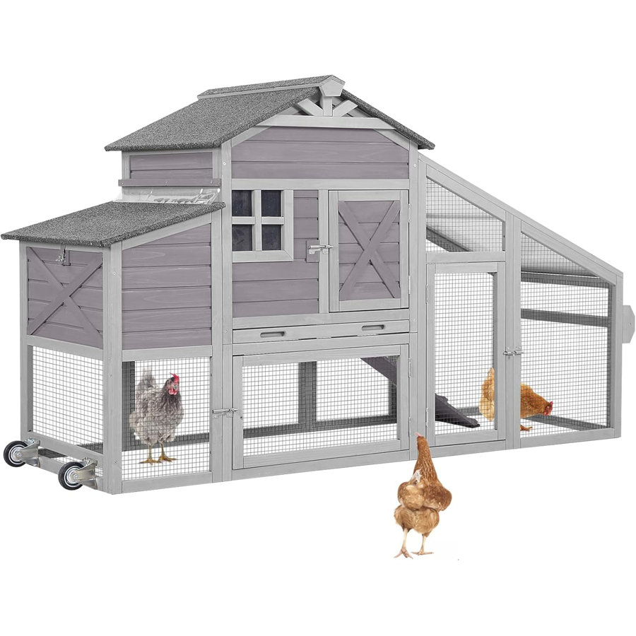 17.1 Square Feet Chicken Coop